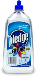 PledgeFutureShine-142x300_zps45d958ae.jpg