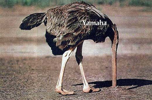 Yamaha.jpg