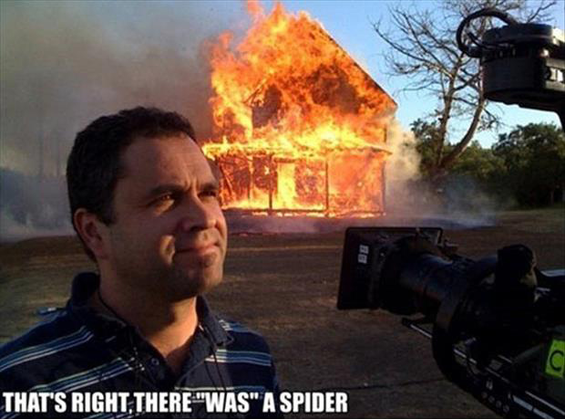 burn-house-down-to-kill-a-spider.jpg