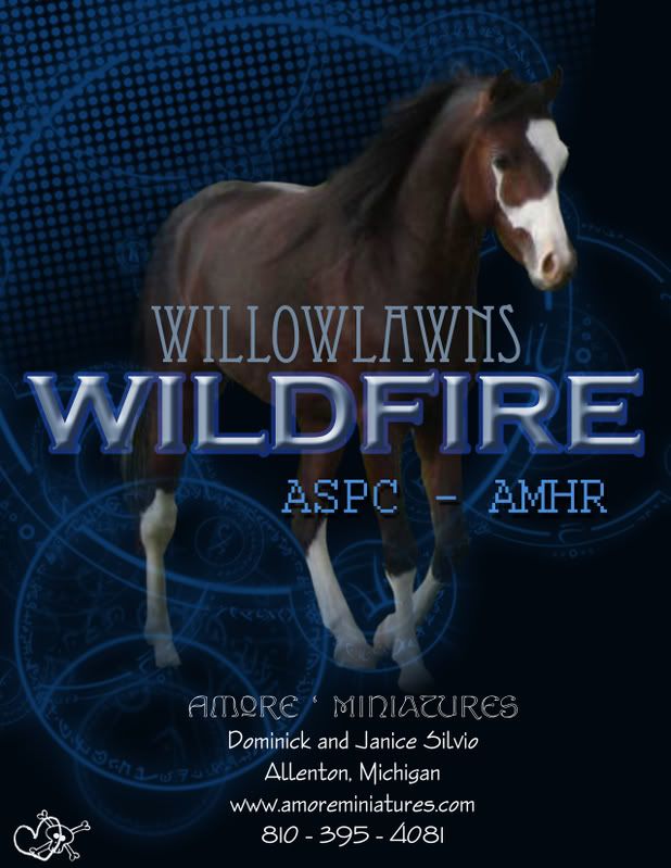 WillowlawnsWildfirecopy.jpg
