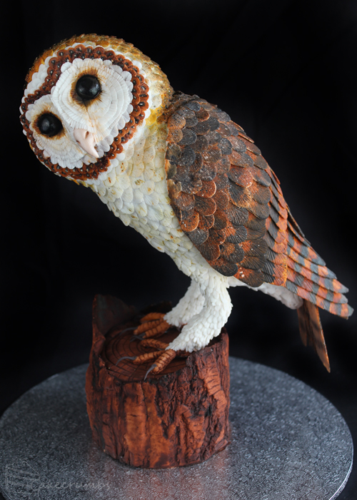 cakecrumbs-tasmanian-masked-owl-cake-03.jpg