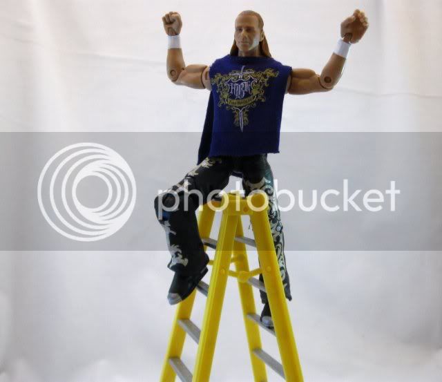 hbk-ladder.jpg