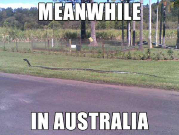 australia-the-land-of-everything-that-will-kill-you-and-kangaroos-photos-22.jpg