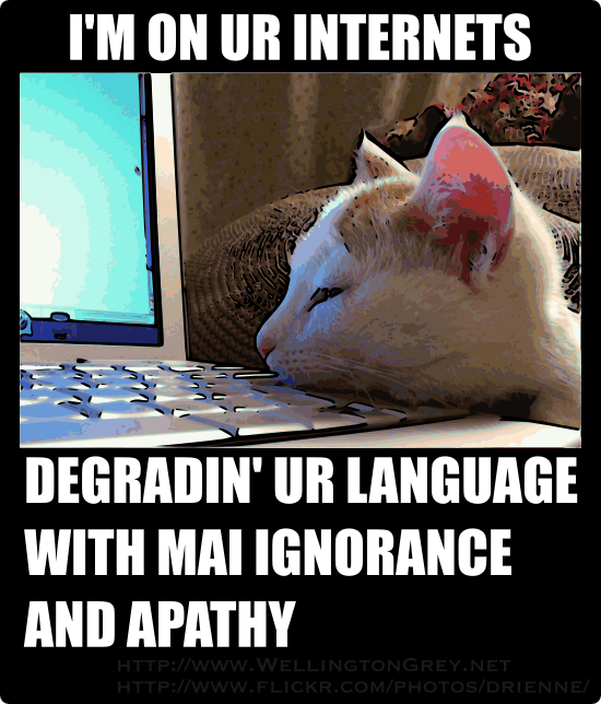 lolcat2.png