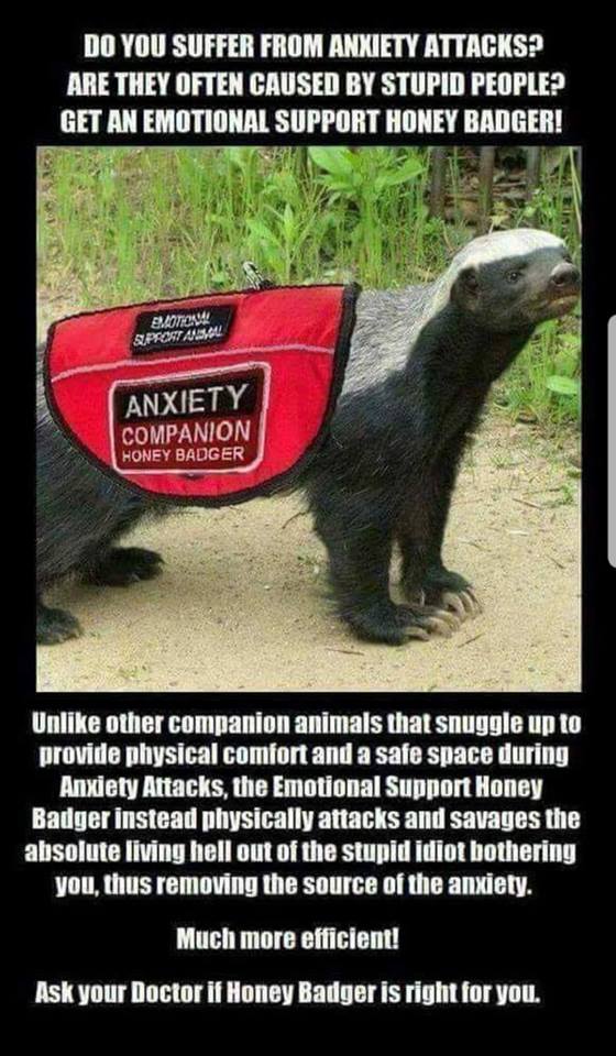 r/Dogfree - Ask Your Doctor if Emotional Support HoneyBadger is Right for You!