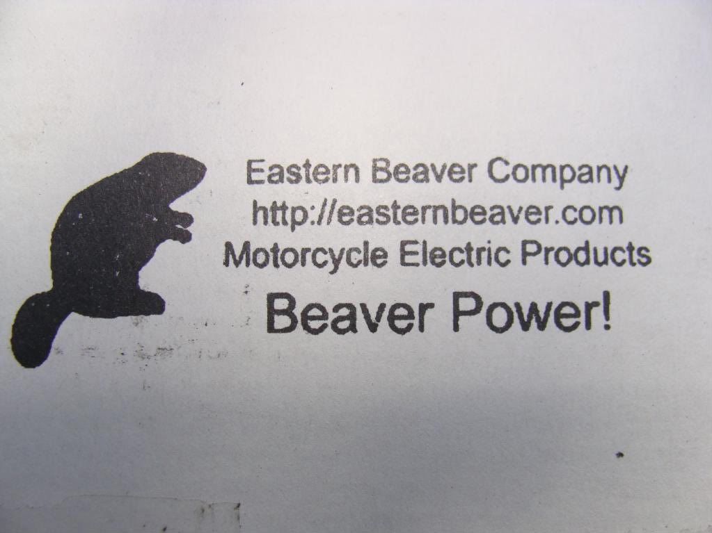 1EasternBeaver.jpg