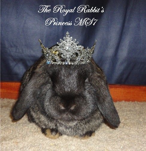 TheRoyalRabbitsPrincessMS7face_zps7c2e9556.jpg