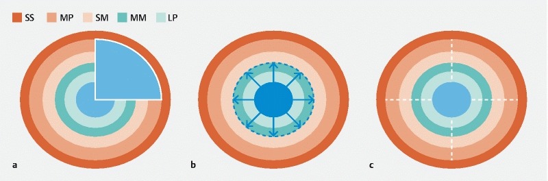 Fig. 1 