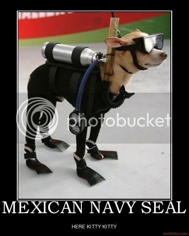 mexican-navy-seal-funny-demotivational-poster-1289967163.jpg