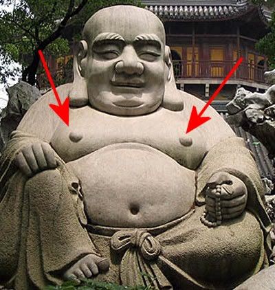 SOL50-CanYouSeetheBuddha-ManBoobs.jpg