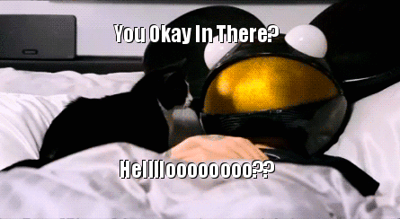 deadmau5_and_meowingtons_meme__click_to_play_gif_by_dominantmonochrome-d8e4y9i.gif