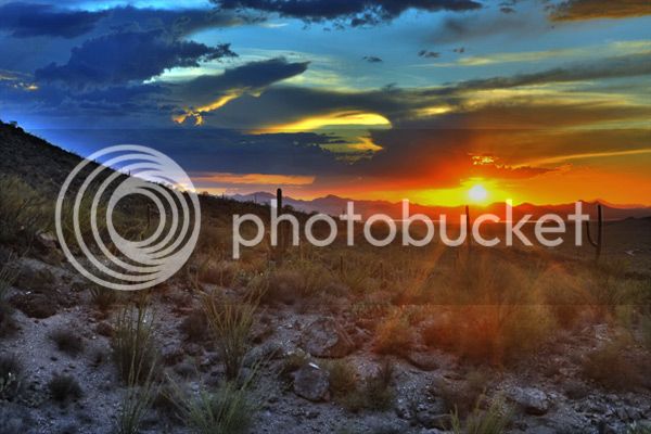 suguaro-sunset.jpg