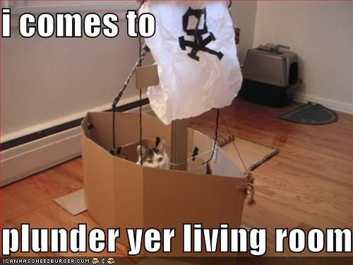 funny-pictures-cat-comes-to-plunder.jpg