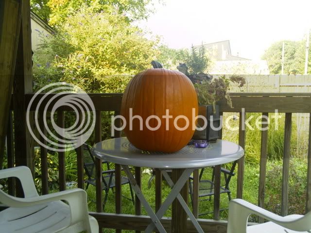 pumpkin0907.jpg