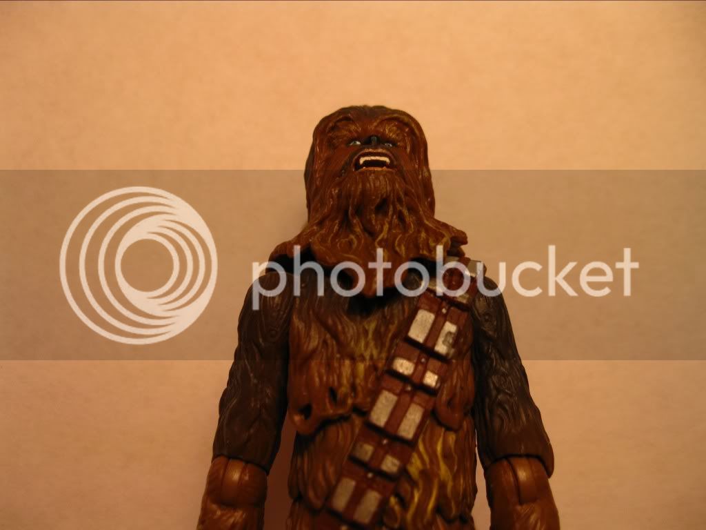 Chewbacca4.jpg