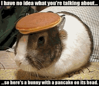 bunny-pancake.gif