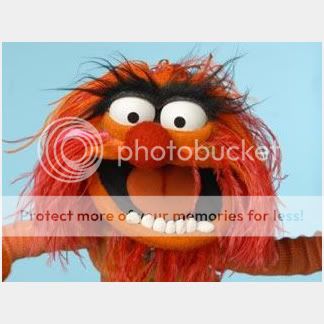 animal_muppet_picture_jpg.jpg