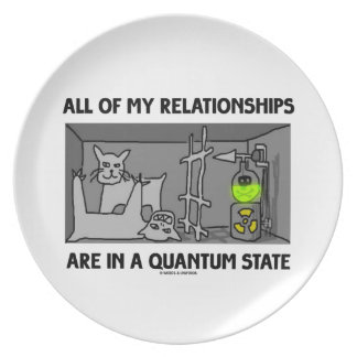 all_of_my_relationships_are_in_a_quantum_state_melamine_plate-re64d0955411e424cbb5931e3b2d81474_ambb0_8byvr_324.jpg