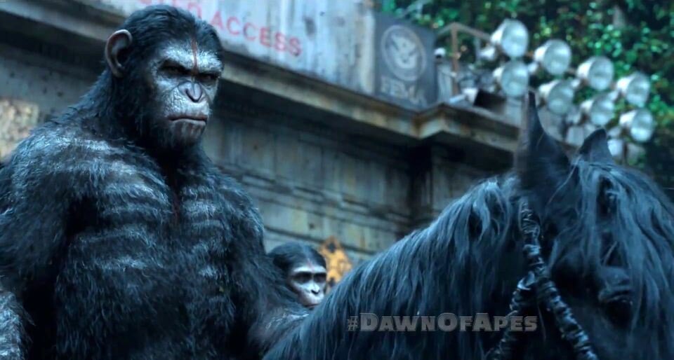 Dawn-of-the-Planet-of-the-Apes-1.jpg