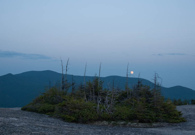 dickeywelch_6-27-28-10-18a.jpg