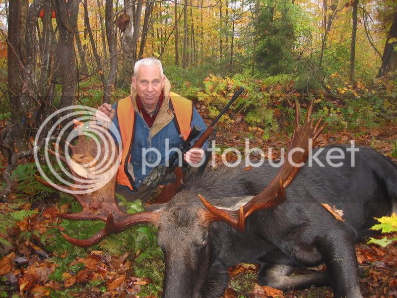 moose004.jpg