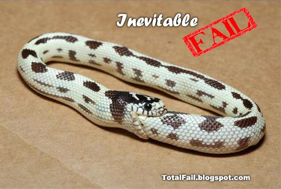 snake-eating-itself-fail.jpg