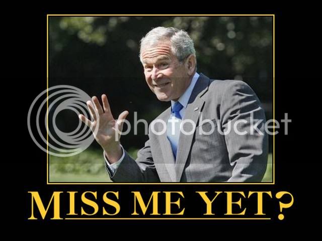 Bush.jpg