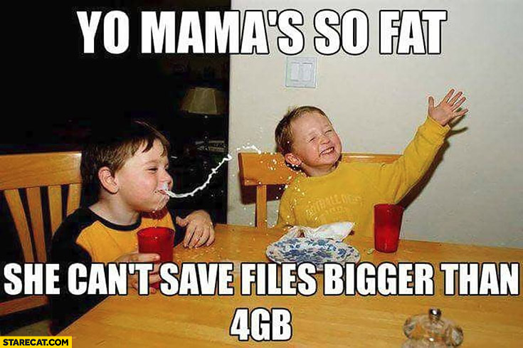 yo-mama-is-so-fat-she-cant-save-files-bigger-than-4gb.jpg