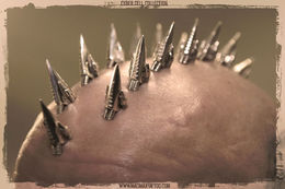 260px-Small_spikes.jpg