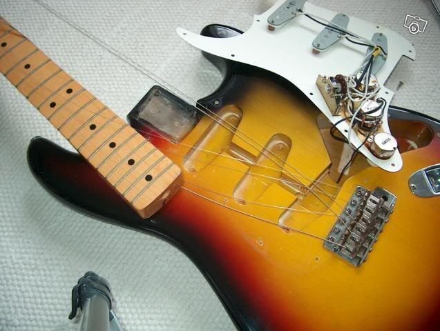 Tokai Goldstar TST-70 | Tokai & Japanese Guitar Forum