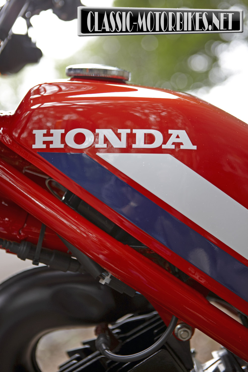 Honda-MT5-static019.jpg