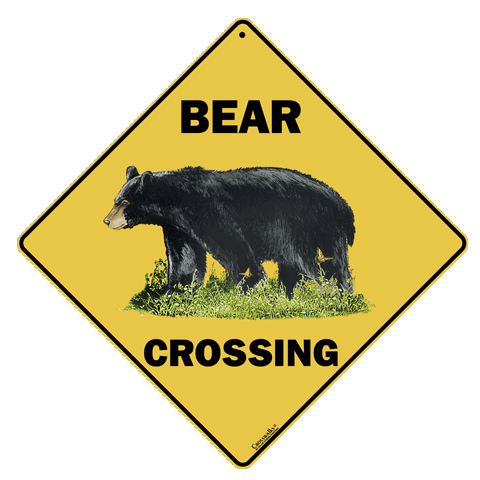 X047-Bear.png