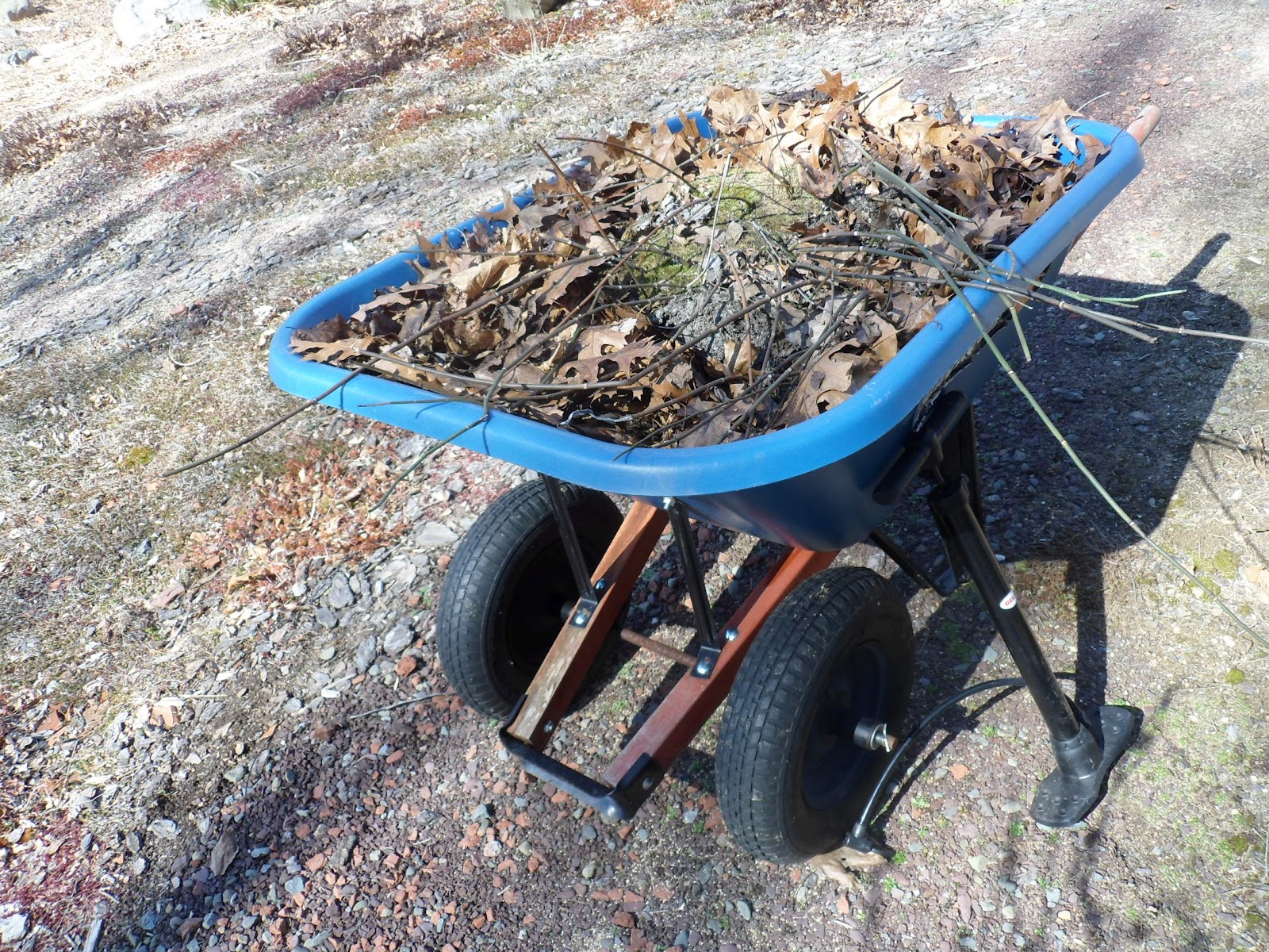 wheelbarrow.JPG