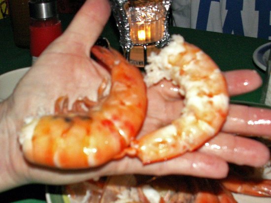 two-jumbo-shrimp-in-my.jpg