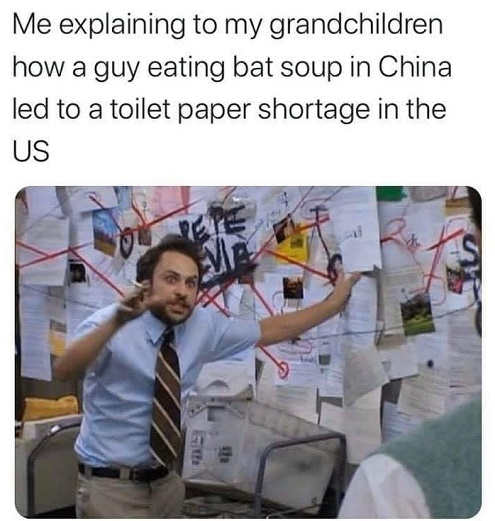 me-explaining-to-grandchildren-how-guy-eating-bat-soup-led-to-toilet-paper-shortage.jpg