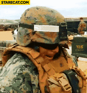 soldier-turtle.gif
