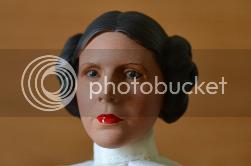 leia_anh_07_zps02f8ce1c.jpg