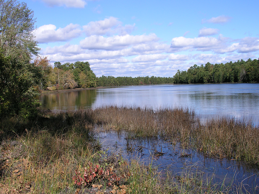 Batsto-Lake.jpg