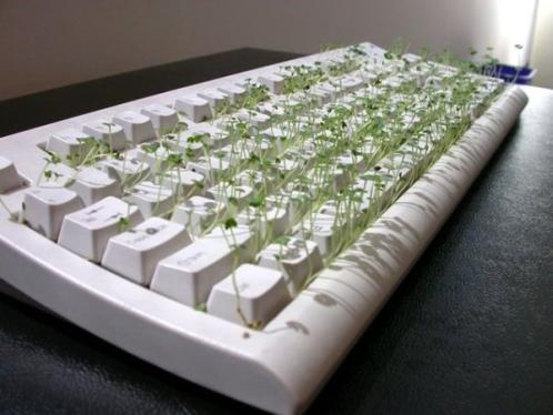 funny-chia-pet-keyboard.jpg