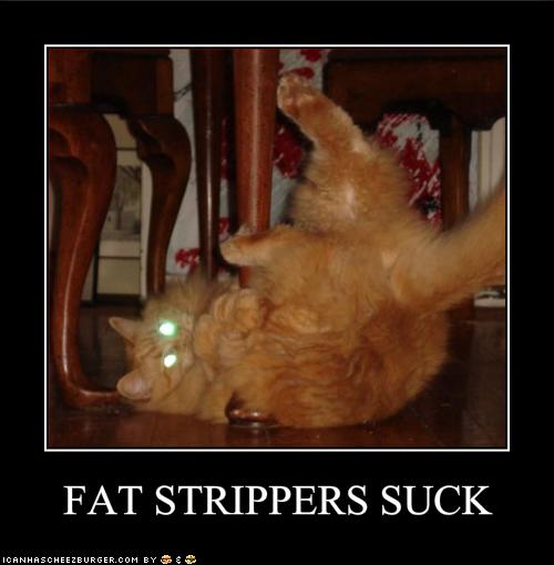 emo-animal-pictures-fat-stripper-cat.jpg