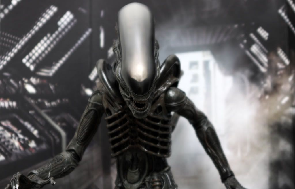 Alien001.jpg