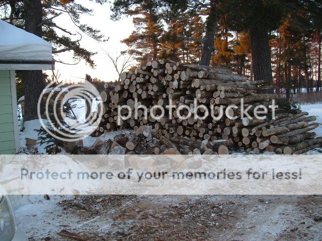 2014_0210woodpile0003.jpg