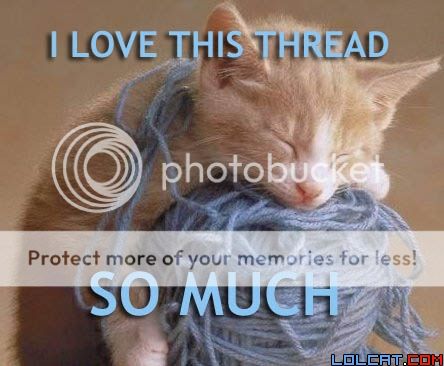 threadlovercat.jpg