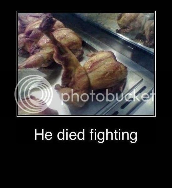 chicken-died-fighting.jpg