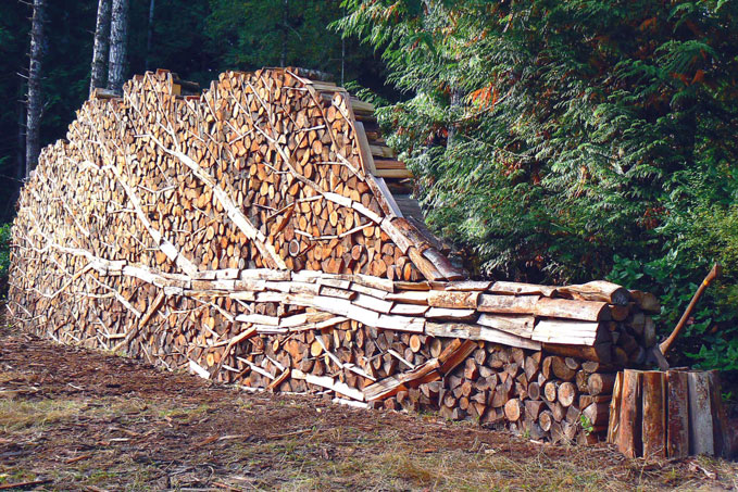 firewood_tree.jpg