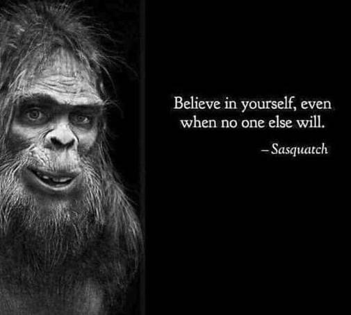 believe-in-yourself-even-if-no-one-else-will-sasquatch.jpg