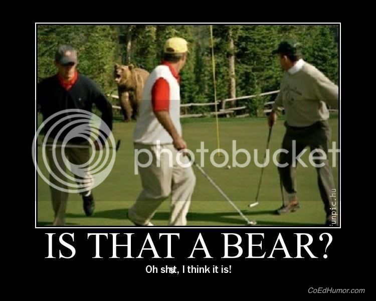 golf_bear.jpg