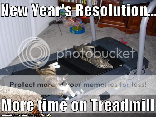 LolcatNewYears.jpg