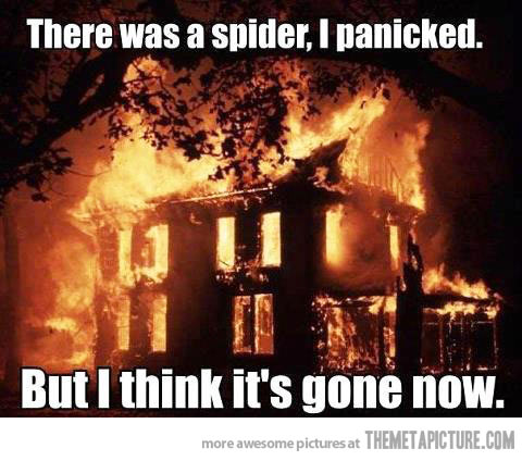 There-Was-A-Spider-I-Panicked-But-I-Think-Its-Gone-Now-Funny-Fire-Meme.jpg