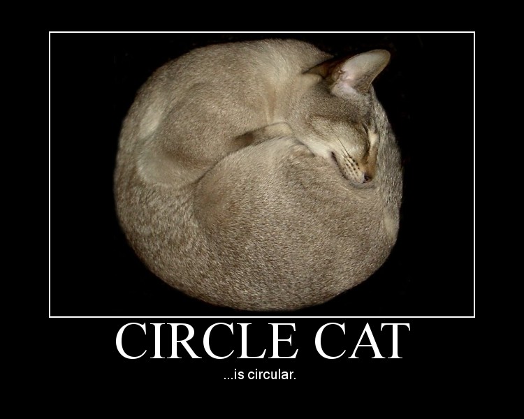 circlecat.jpg